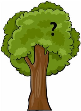 Загадка про дерево для квеста